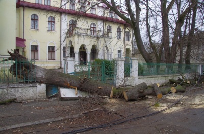 У Чернівцях ліквідовують наслідки буревію - фото