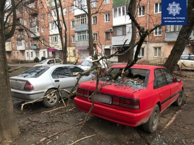 Наслідки буревію на Буковині та призначення трьох голів РДА. Головні новини 24 лютого