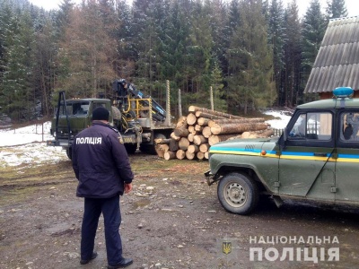 На Буковині поліцейські затримали водія, який перевозив деревину без відповідних документів