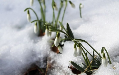«Повернеться зима»: народний синоптик розповів, якою буде погода в березні