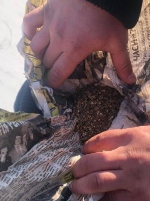 На Буковині собака допоміг прикорданникам виявити порушника з наркотиками