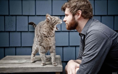 Вчені розповіли, чому кожному чоловікові потрібен кіт