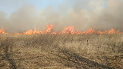 Буковинці продовжують спалювати суху траву: рятувальники розповіли про масштабну пожежу