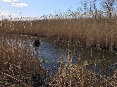 Прикордонники виявили підводний спиртопровід з так званого "Придністров’я"