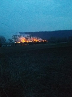 На Буковині через спалювання трави посеред Дністра згорів острів – фото