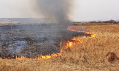 За добу на Буковині згоріло 40 га сухої трави