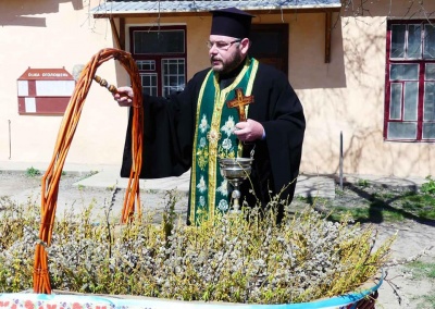 У Кам’янці-Подільському освячену вербу виставили на площі для всіх охочих