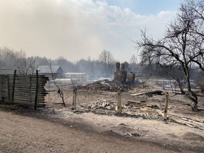 На Житомирщині лісові пожежі перекинулися на села