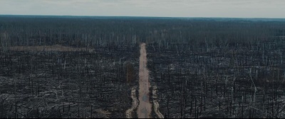 «Відчуття абсолютного апокаліпсису». Наслідки пожеж у Чорнобильській зоні зняли з дрона