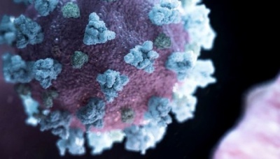 ВООЗ: Наявність в організмі антитіл не свідчить про імунітет до COVID-19