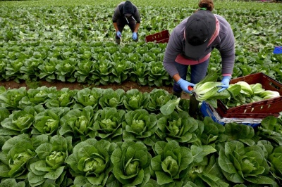 Уряд Італії вирішив тимчасово легалізувати заробітчан