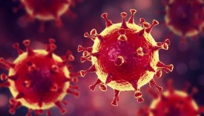 Коронавірус може розмножуватися у кишківнику людини - вчені