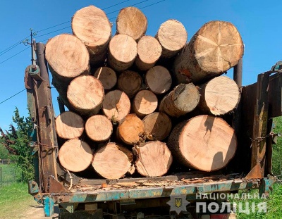 На Буковині поліція розслідує факт нелегального обігу лісодеревини