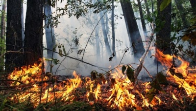 На Буковині зберігається надзвичайна пожежна небезпека