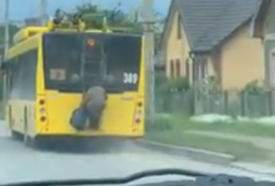 У Чернівцях бабуся прокаталась містом, причепшись до драбини тролейбуса – відео