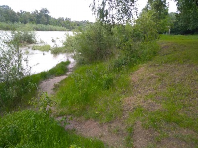 У Чернівцях у Пруті через зливи суттєво піднявся рівень води – фото