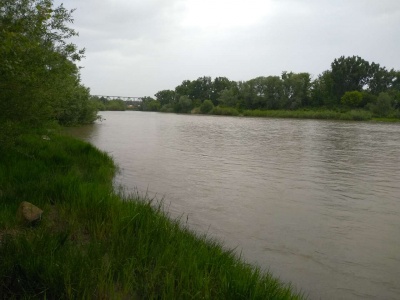 У Чернівцях у Пруті через зливи суттєво піднявся рівень води – фото