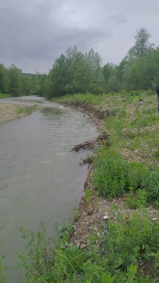 Через зливи річка розмила береги і дамби ще у двох селах Буковини – фото