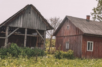 «Молодих сімей майже не лишилося»: як живеться буковинцям у віддаленому хуторі Америка - фото