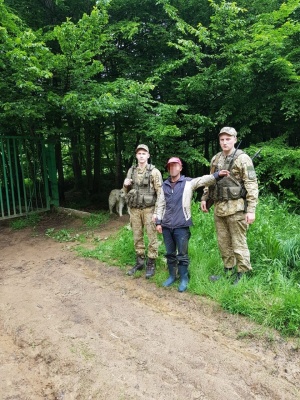 Прикордонники затримали пастуха з Румунії, який заблукав з отарою овець