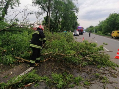На Буковині рятувальники допомагають людям усувати наслідки негоди
