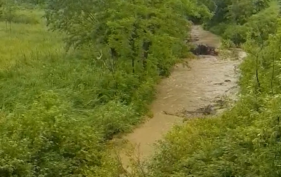 «За 20 хвилин вода піднялася на метр»: негода на Буковині не стихає