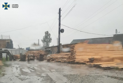 На Буковині СБУ викрила розкрадання лісів: посадовці лісгоспу організували незаконну вирубку