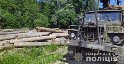 На Буковині виявили крадія лісодеревини