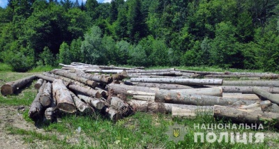 На Буковині виявили крадія лісодеревини