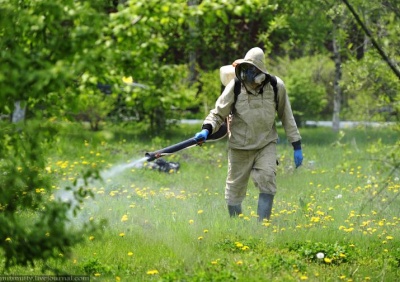 Парк "Жовтневий" у Чернівцях оброблять від кліщів