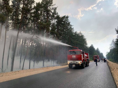 На Луганщині знову горить ліс: пожежа виникла внаслідок обстрілу