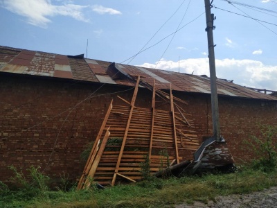 «Ліс ніби зрізало косою»: буревій завдав лиха селу на Буковині