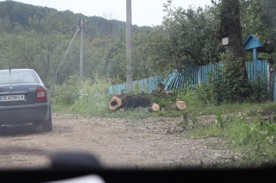 «Ніби настав кінець світу»: як на Буковині люди долають наслідки буревію - фото