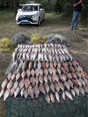 На Буковині троє браконьєрів незаконно наловили риби на понад пів мільйона гривень