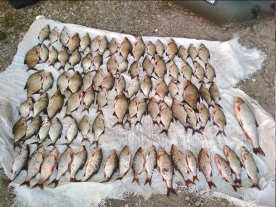 На Буковині порушник наловив риби на 23 тис грн, у нього вилучили човен та знаряддя лову