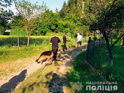 Поліція розшукала 1,5-річну дитину на Буковині: хлопчик вирушив у гори