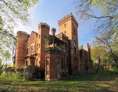 Зробити музей історії українського війська: на Черкащині хочуть врятувати старовинний замок