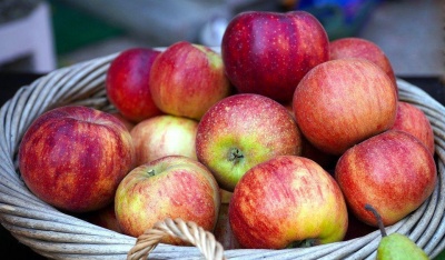 Зберігання яблук: основні помилки, які знижують лежкість зібраних плодів взимку