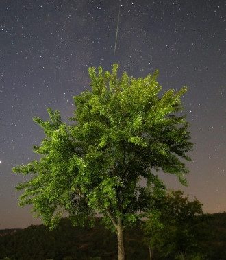 Астрологи попередили, кому на початку листопада загрожують важкі дні Астрологи попередили, кому на початку листопада загрожують важкі дні