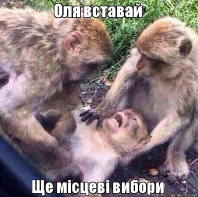 Меми про місцеві вибори: як у мережі жартують про кандидатів і виборців