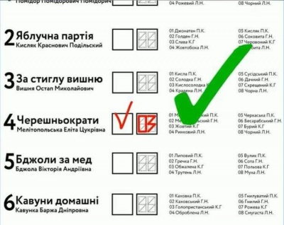 У ЦВК показали, як правильно заповнювати бюлетені на виборах - відео