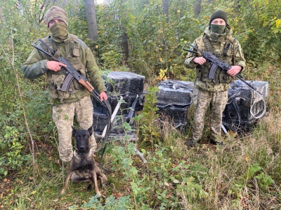 Сховали під гілками: на Буковині прикордонники вилучили контрабандні цигарки на майже півмільйона гривень