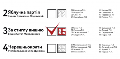 Сьогодні в Україні відбуваються місцеві вибори: кого обираємо і як правильно проголосувати