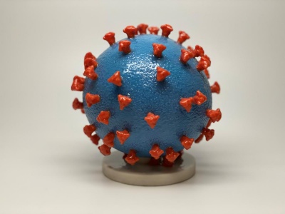 Захист завдяки антитілам до коронавірусу швидко слабшає - науковці