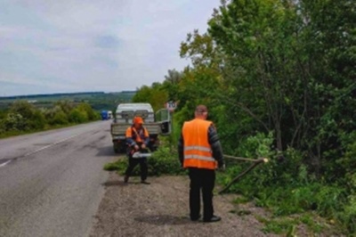 У Чернівецькій області почали прибирати узбіччя доріг від чагарників та сухих дерев