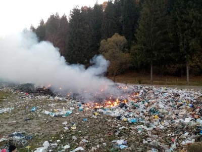 «Худоба гине від сміття»: гірські села на Буковині потерпають від масштабного звалища – фото