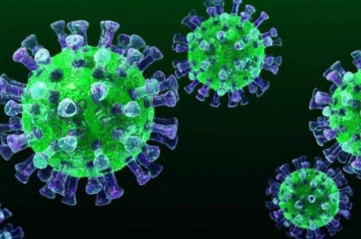 Назвали найбільш небезпечні види коронавірусу