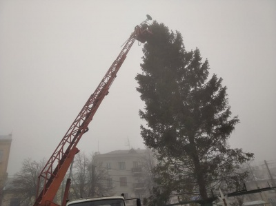 «Прикрасимо і буде люкс!»: у Чернівцях встановили головну ялинку - фото