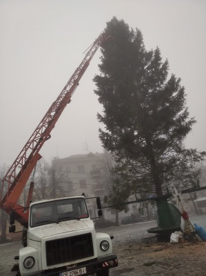 «Прикрасимо і буде люкс!»: у Чернівцях встановили головну ялинку - фото