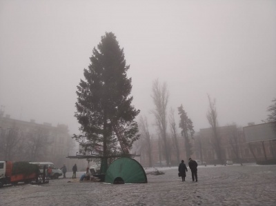 «Прикрасимо і буде люкс!»: у Чернівцях встановили головну ялинку - фото